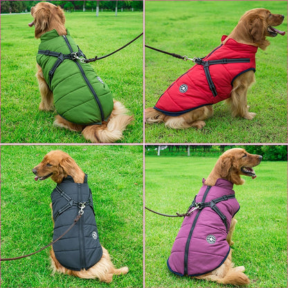 Winter Dog Jacket